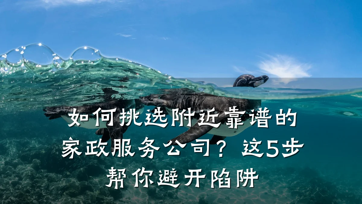 如何挑选附近靠谱的家政服务公司？这5步帮你避开陷阱