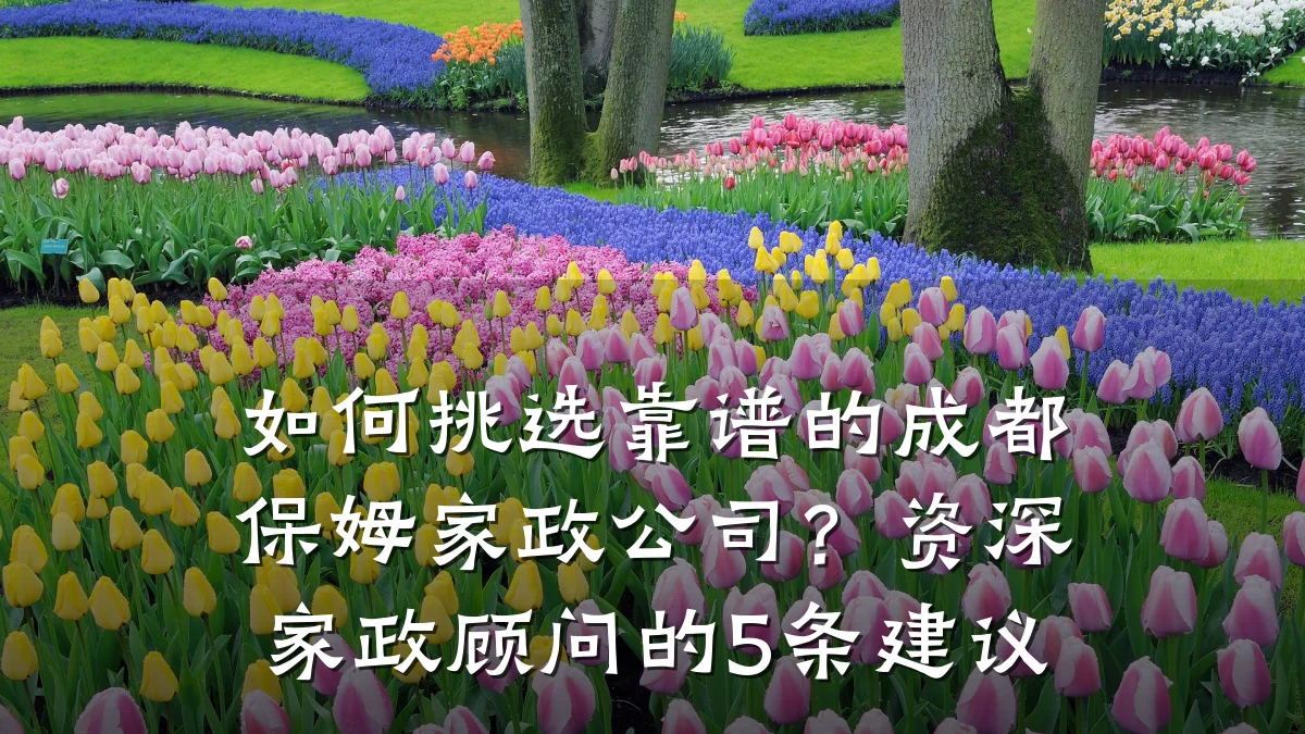 如何挑选靠谱的成都保姆家政公司?资深家政顾问的5条建议