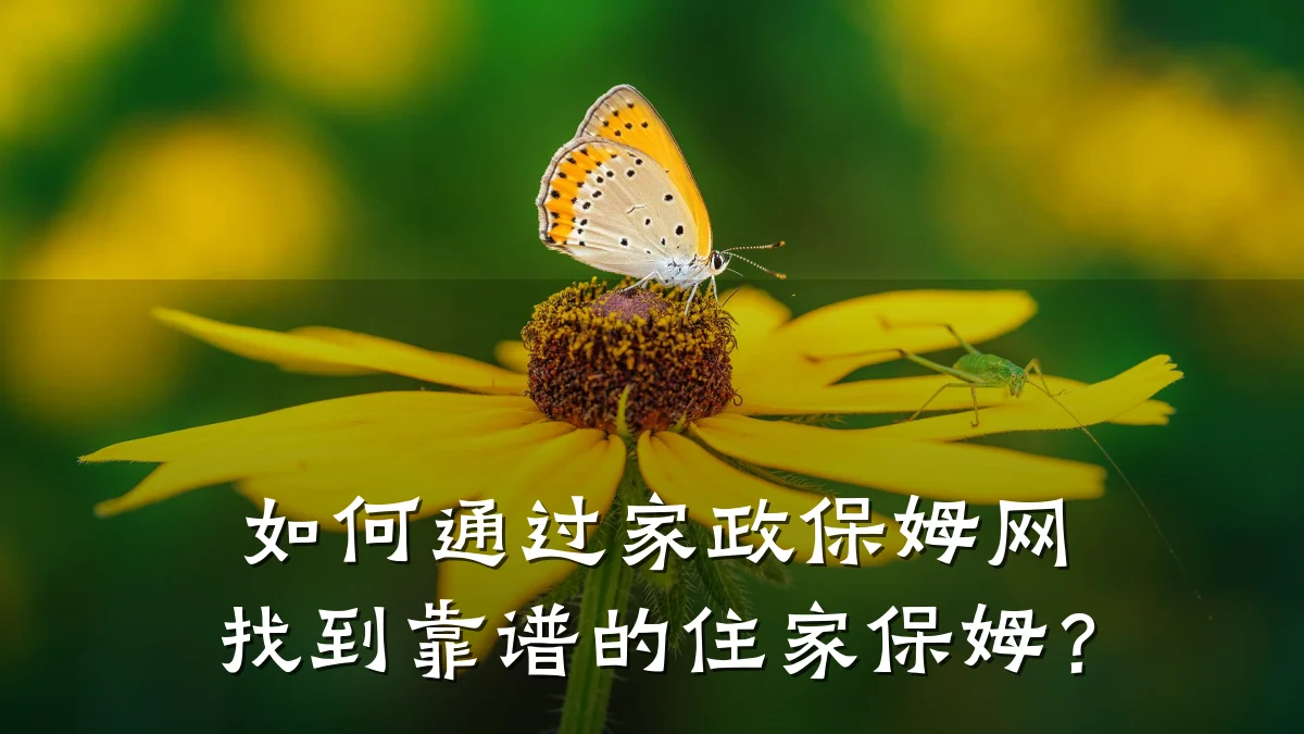 如何通过家政保姆网找到靠谱的住家保姆?