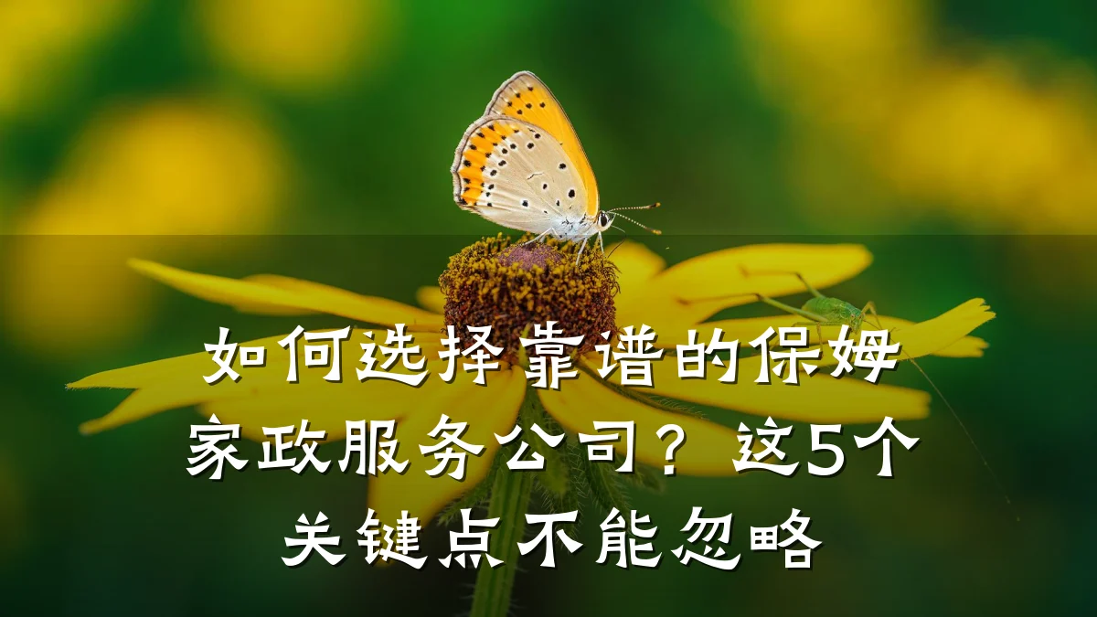 如何选择靠谱的保姆家政服务公司?这5个关键点不能忽略