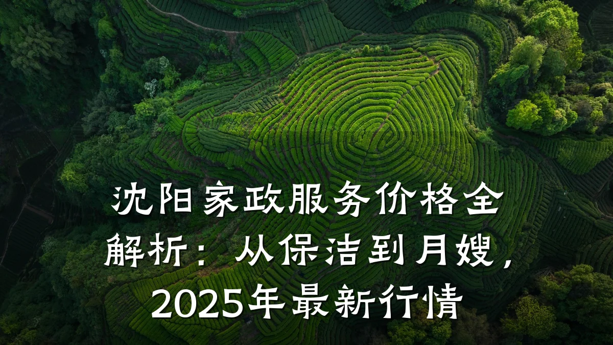 沈阳家政服务价格全解析:从保洁到月嫂,2025年最新行情