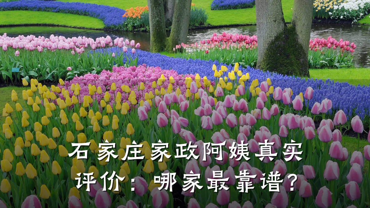 石家庄家政阿姨真实评价:哪家最靠谱?