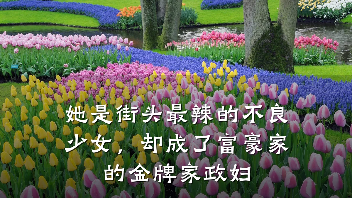 她是街头最辣的不良少女,却成了富豪家的金牌家政妇