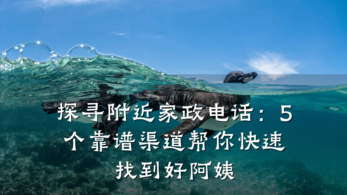 探寻附近家政电话:5个靠谱渠道帮你快速找到好阿姨