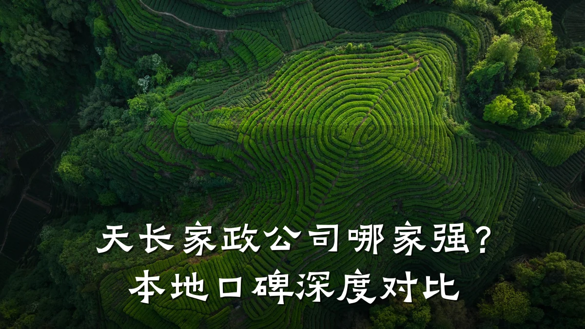 天长家政公司哪家强?本地口碑深度对比