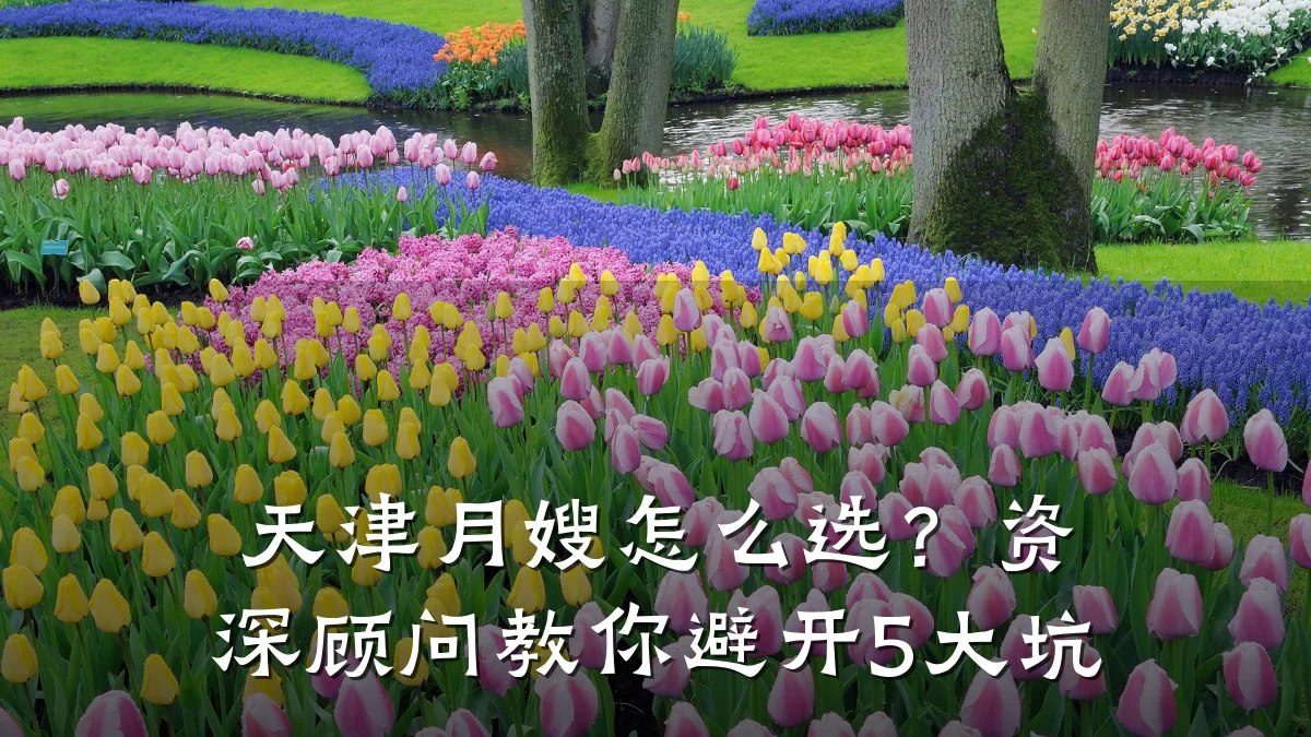 天津月嫂怎么选?资深顾问教你避开5大坑