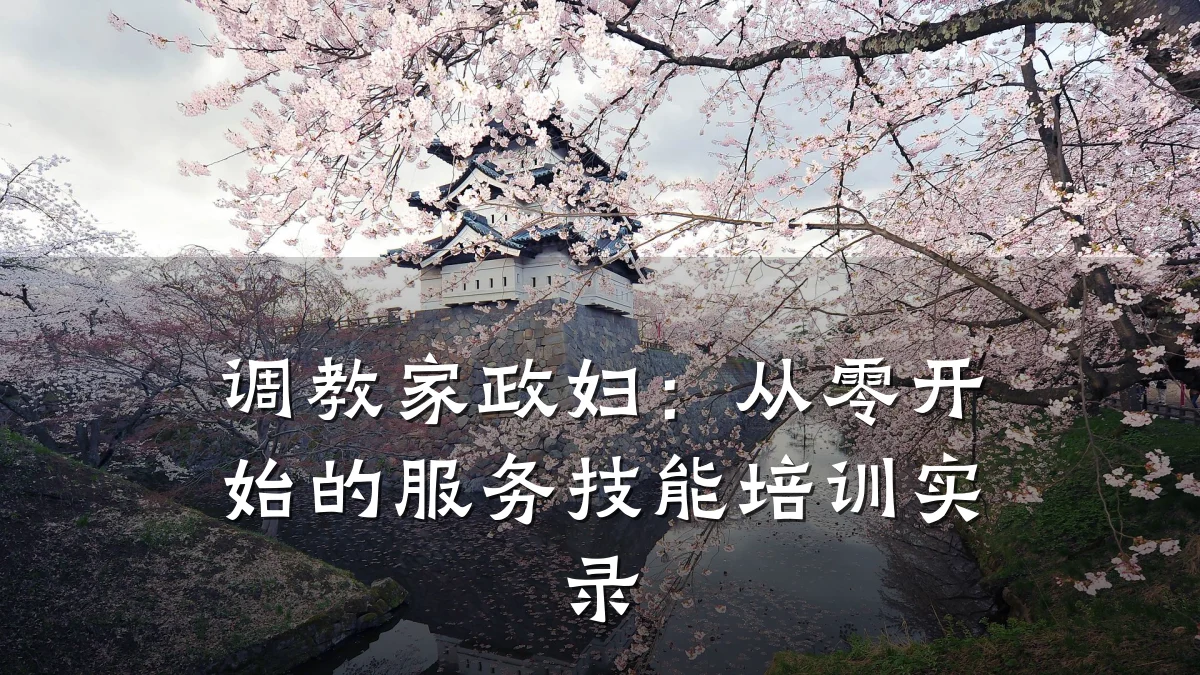 调教家政妇：从零开始的服务技能培训实录