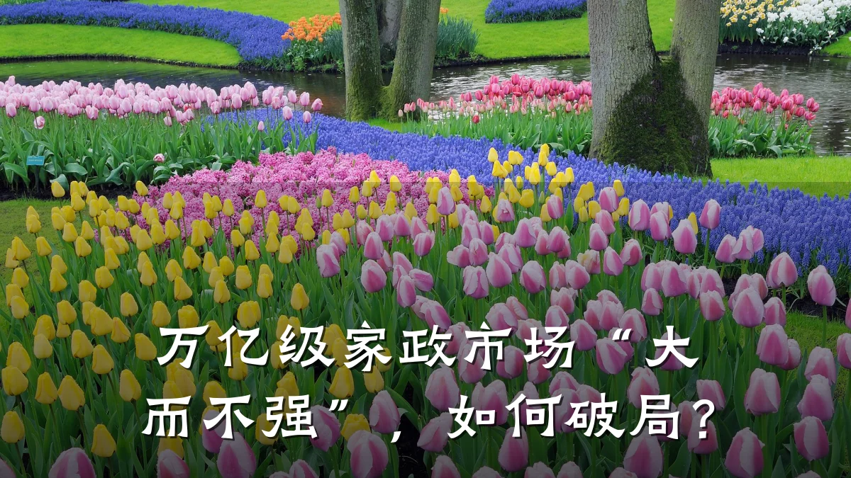 万亿级家政市场“大而不强”,如何破局?