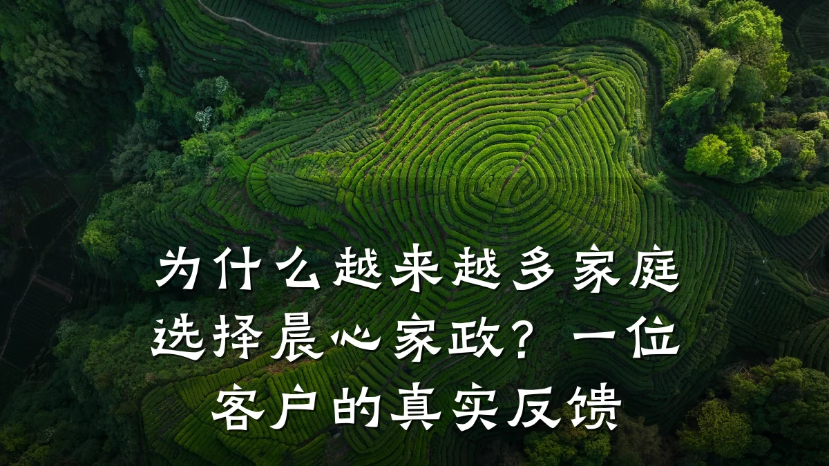 为什么越来越多家庭选择晨心家政?一位客户的真实反馈