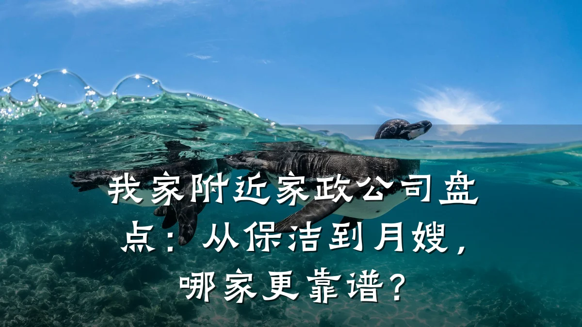 我家附近家政公司盘点:从保洁到月嫂,哪家更靠谱?