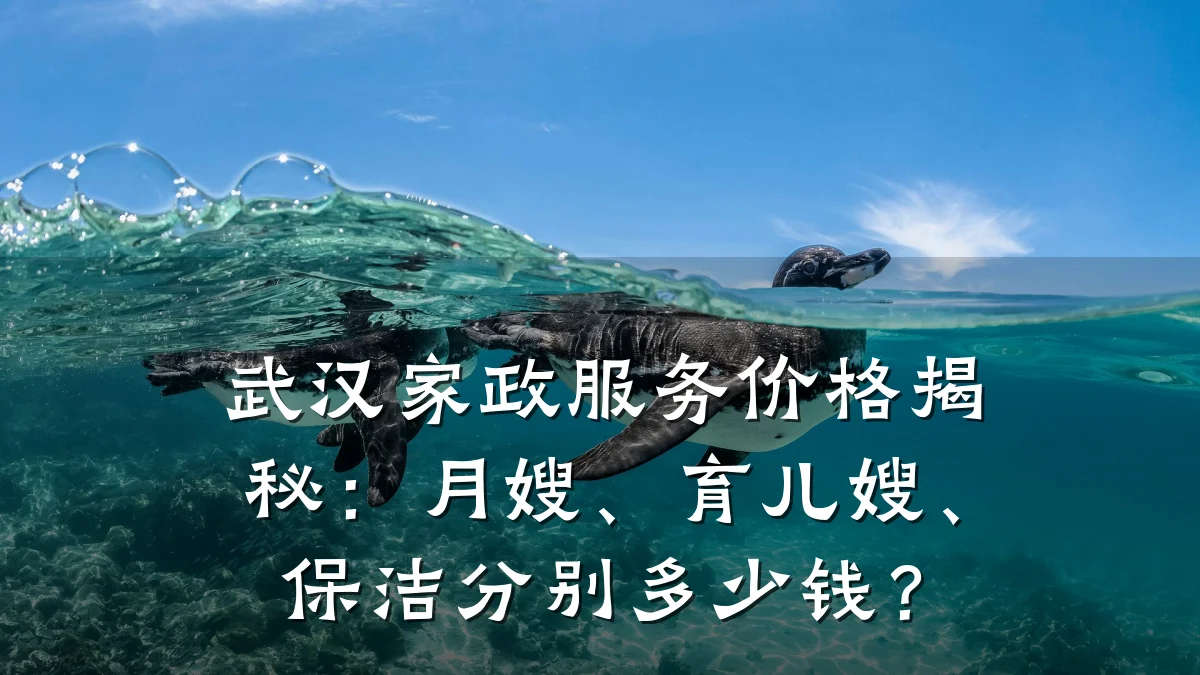 武汉家政服务价格揭秘:月嫂、育儿嫂、保洁分别多少钱?