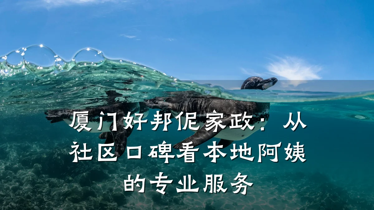 厦门好邦伲家政:从社区口碑看本地阿姨的专业服务