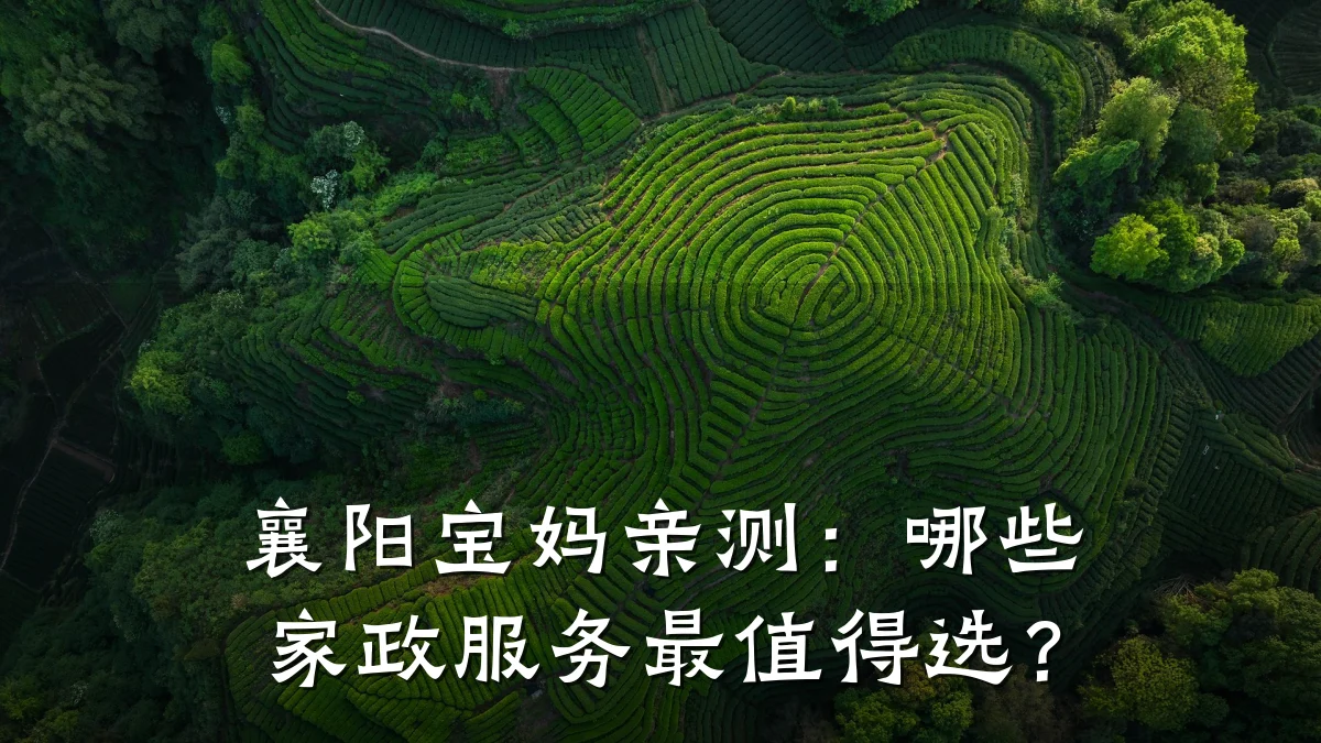 襄阳宝妈亲测:哪些家政服务最值得选?