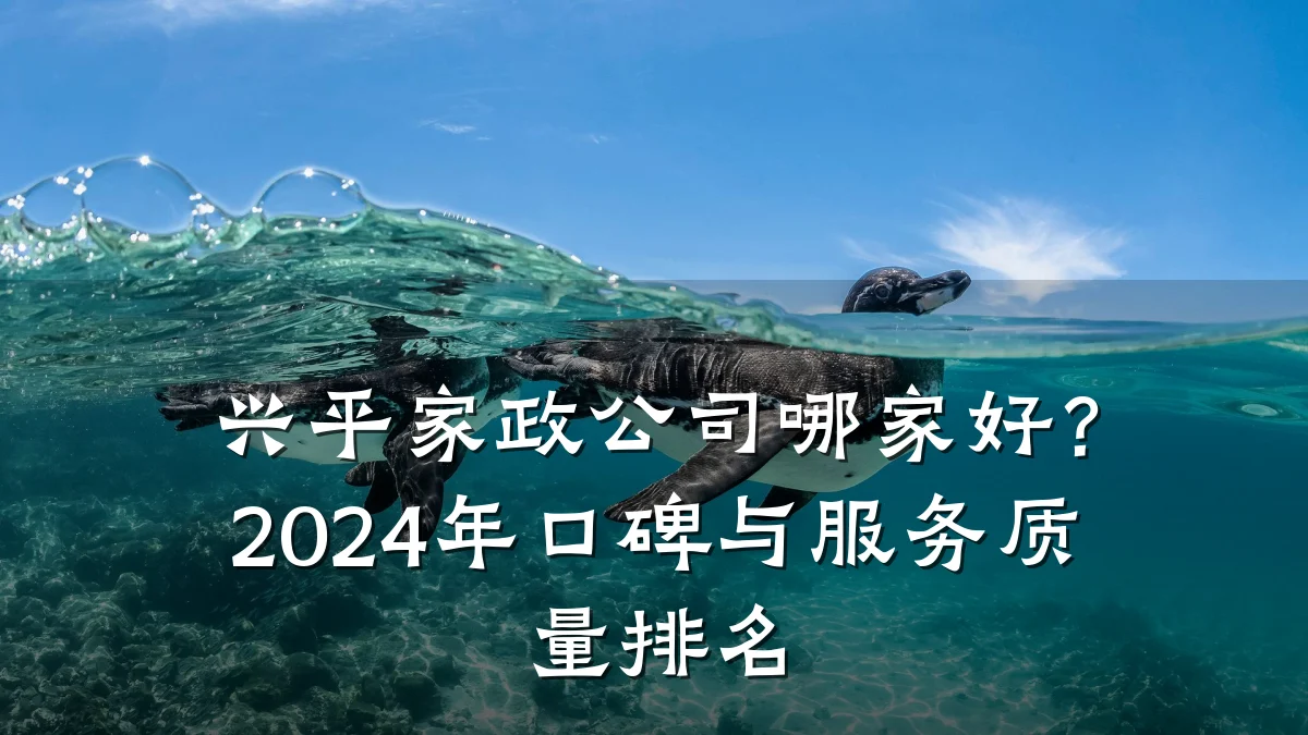 兴平家政公司哪家好?2024年口碑与服务质量排名