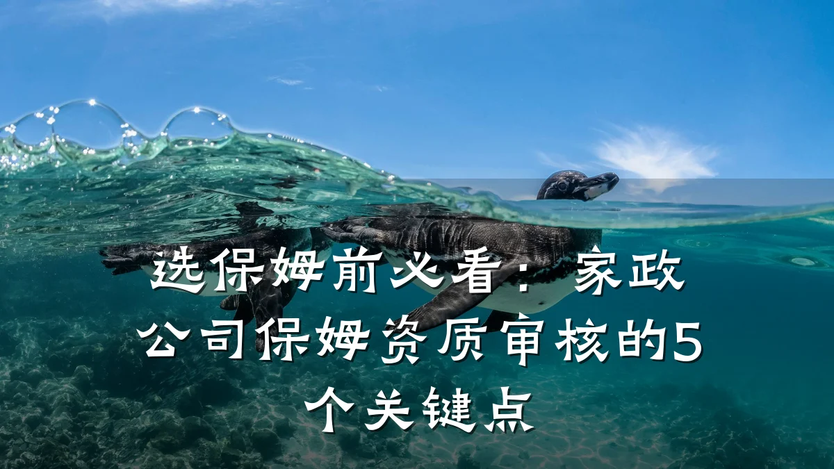 选保姆前必看:家政公司保姆资质审核的5个关键点