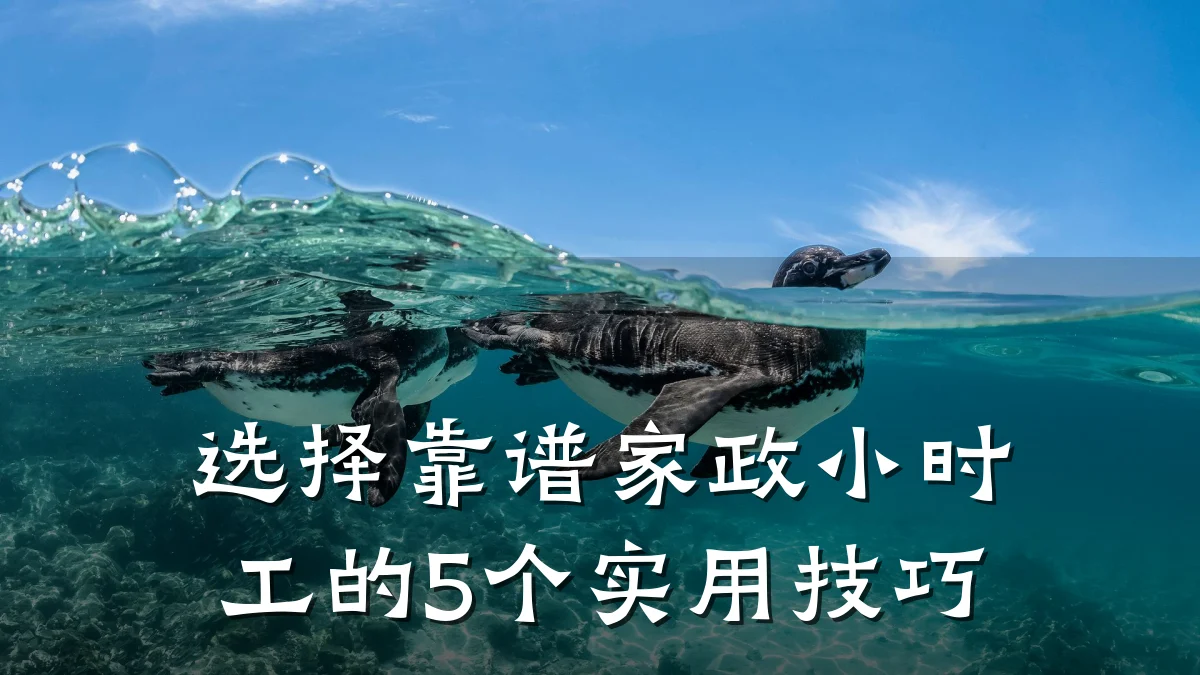 选择靠谱家政小时工的5个实用技巧