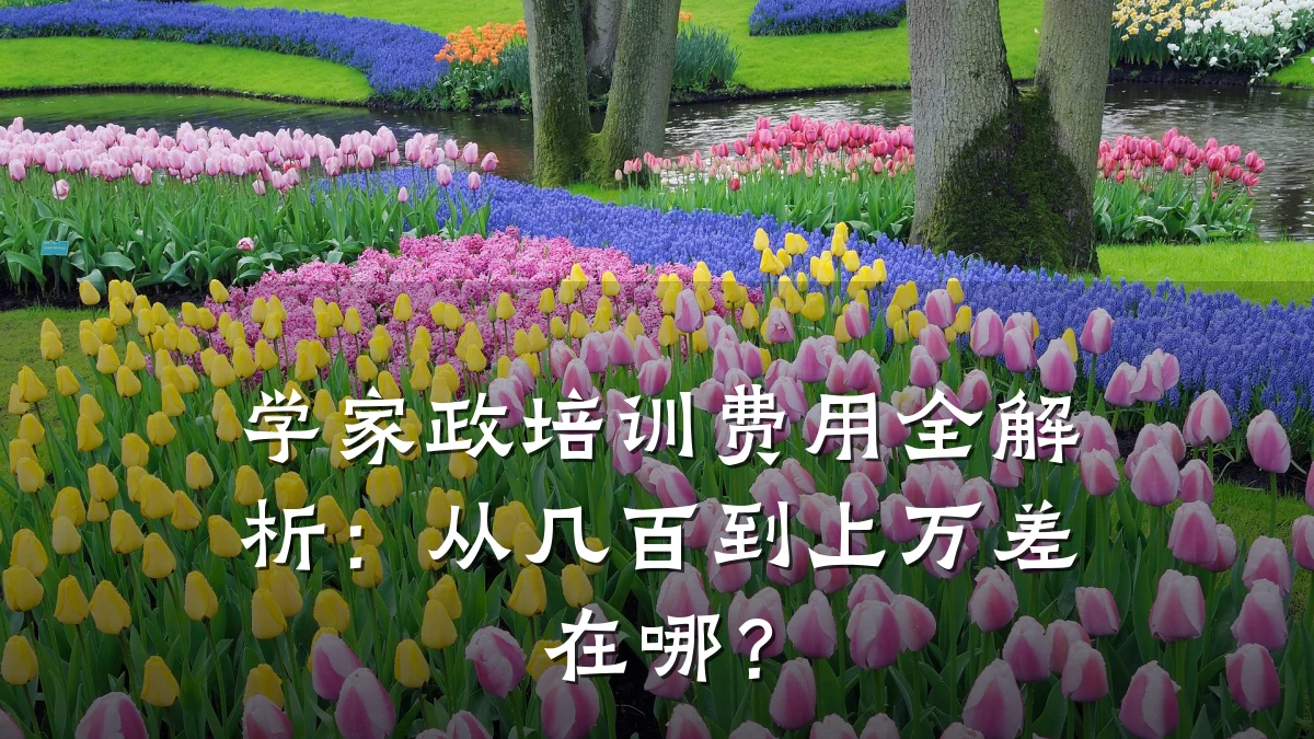 学家政培训费用全解析:从几百到上万差在哪?