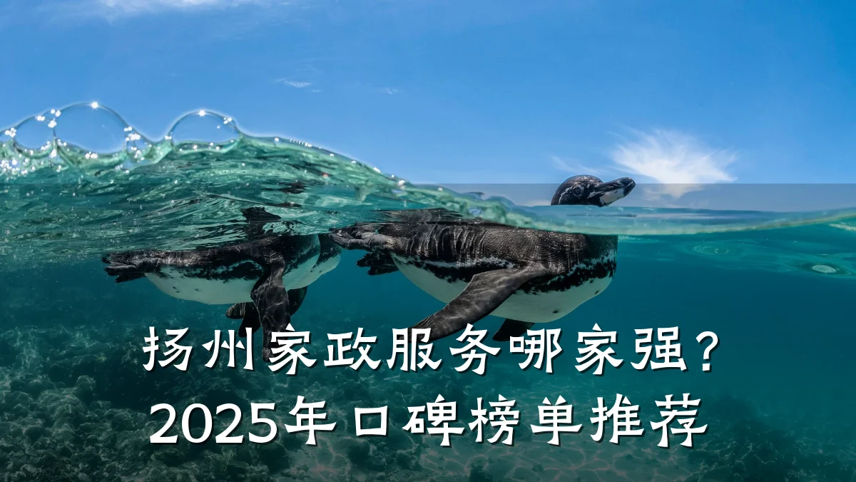 扬州家政服务哪家强？2025年口碑榜单推荐