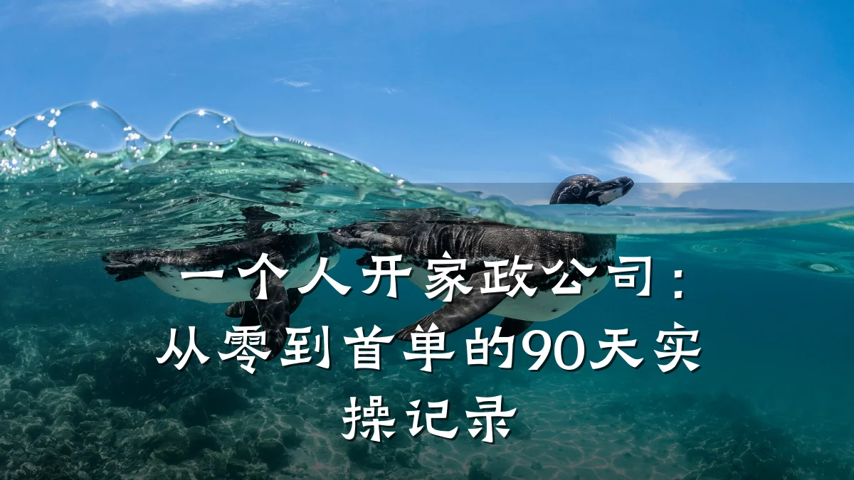 一个人开家政公司:从零到首单的90天实操记录