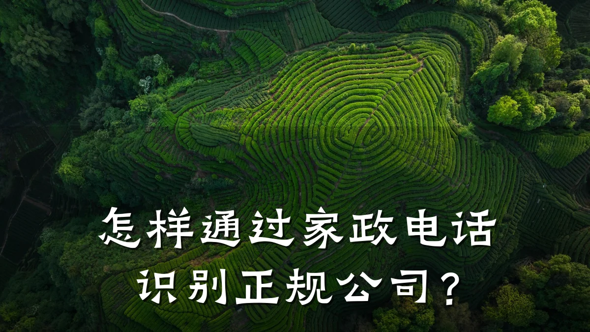 怎样通过家政电话识别正规公司?