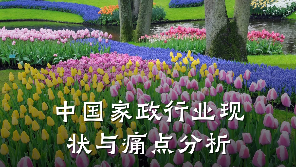 中国家政行业现状与痛点分析