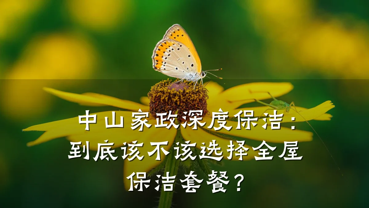 中山家政深度保洁：到底该不该选择全屋保洁套餐？