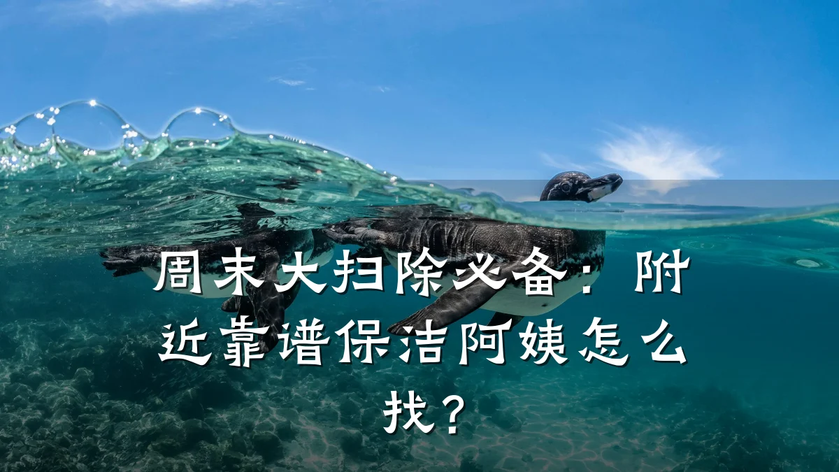 周末大扫除必备:附近靠谱保洁阿姨怎么找?