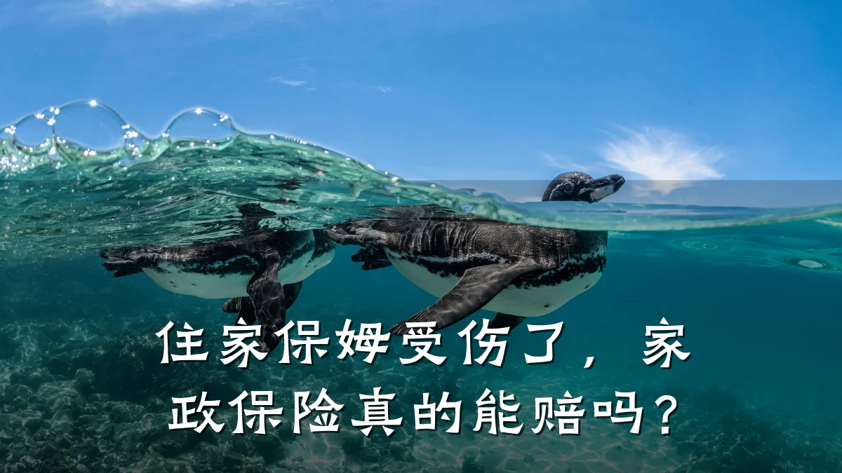 住家保姆受伤了,家政保险真的能赔吗?