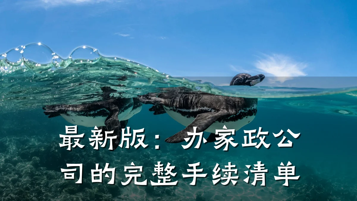 最新版:办家政公司的完整手续清单