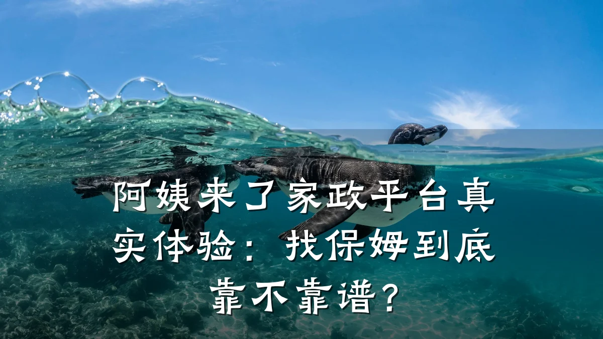 阿姨来了家政平台真实体验:找保姆到底靠不靠谱?