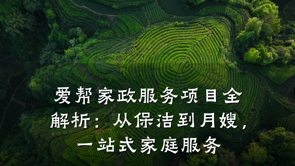 爱帮家政服务项目全解析:从保洁到月嫂,一站式家庭服务