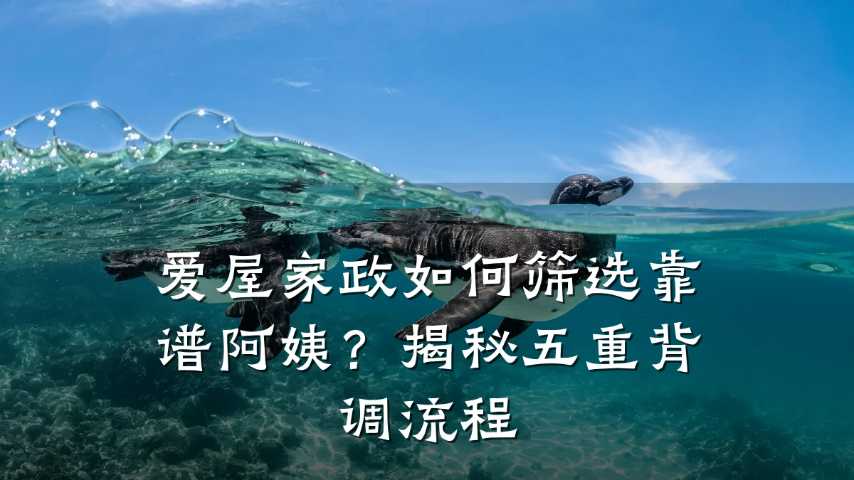 爱屋家政如何筛选靠谱阿姨?揭秘五重背调流程