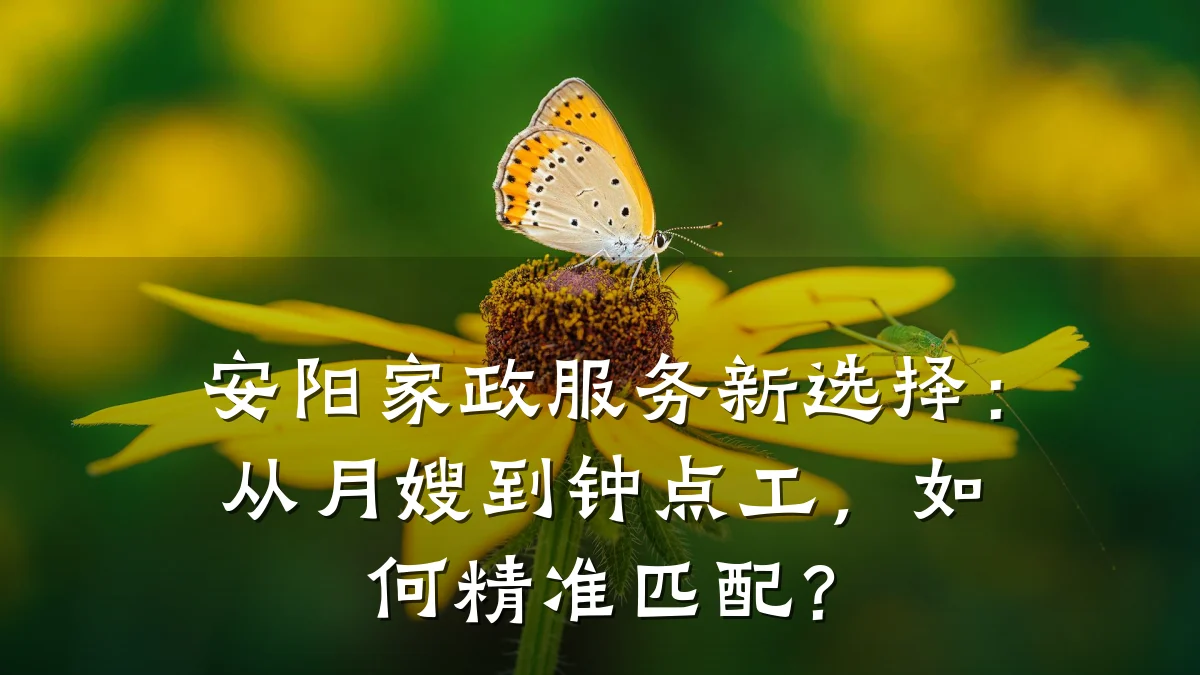 安阳家政服务新选择:从月嫂到钟点工,如何精准匹配?