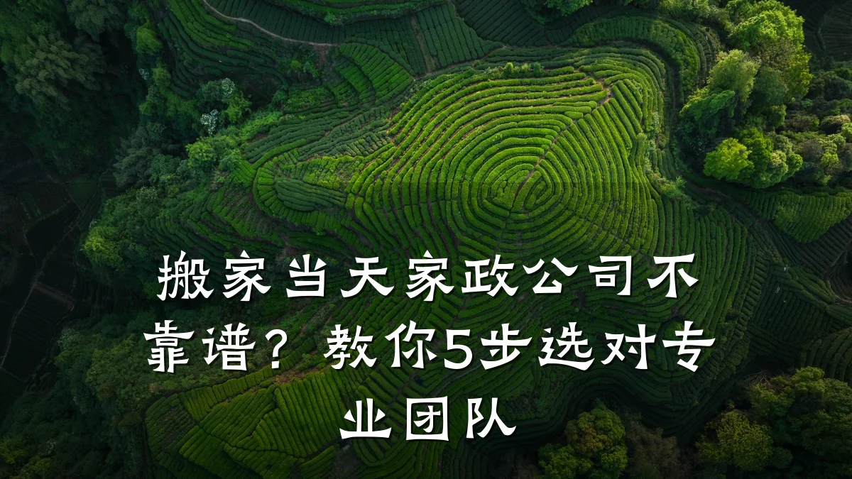 搬家当天家政公司不靠谱？教你5步选对专业团队