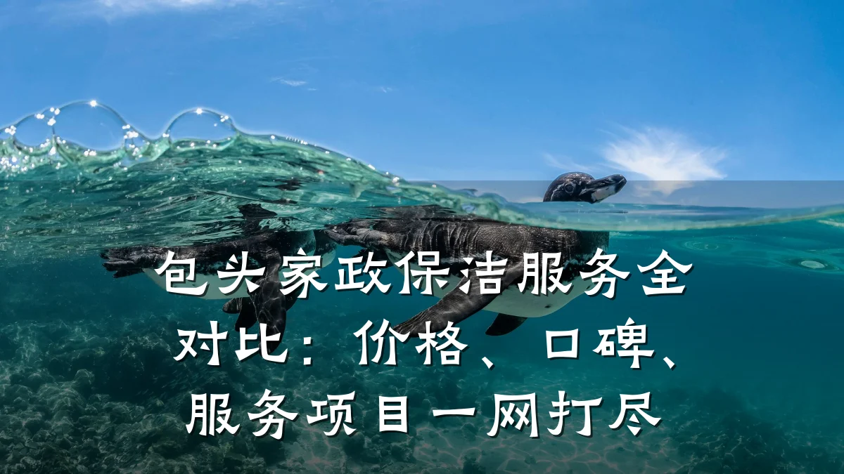 包头家政保洁服务全对比:价格、口碑、服务项目一网打尽