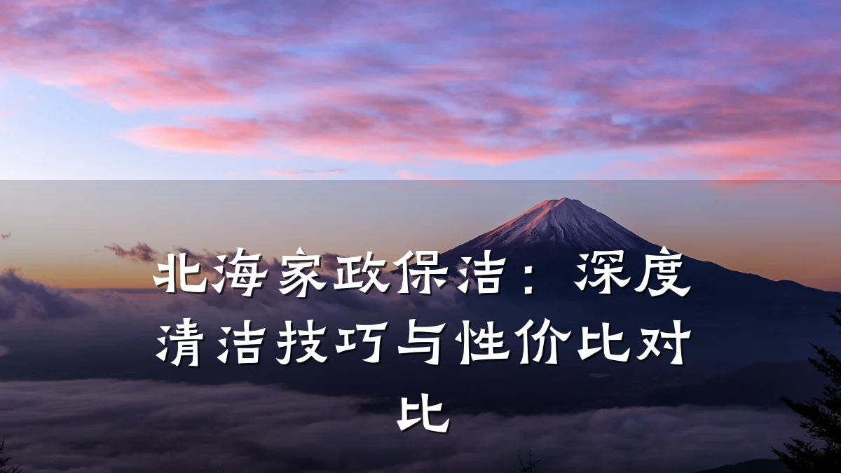 北海家政保洁:深度清洁技巧与性价比对比