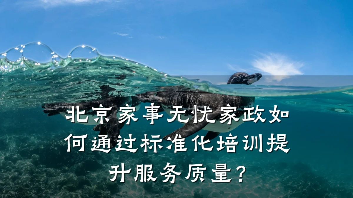 北京家事无忧家政如何通过标准化培训提升服务质量?