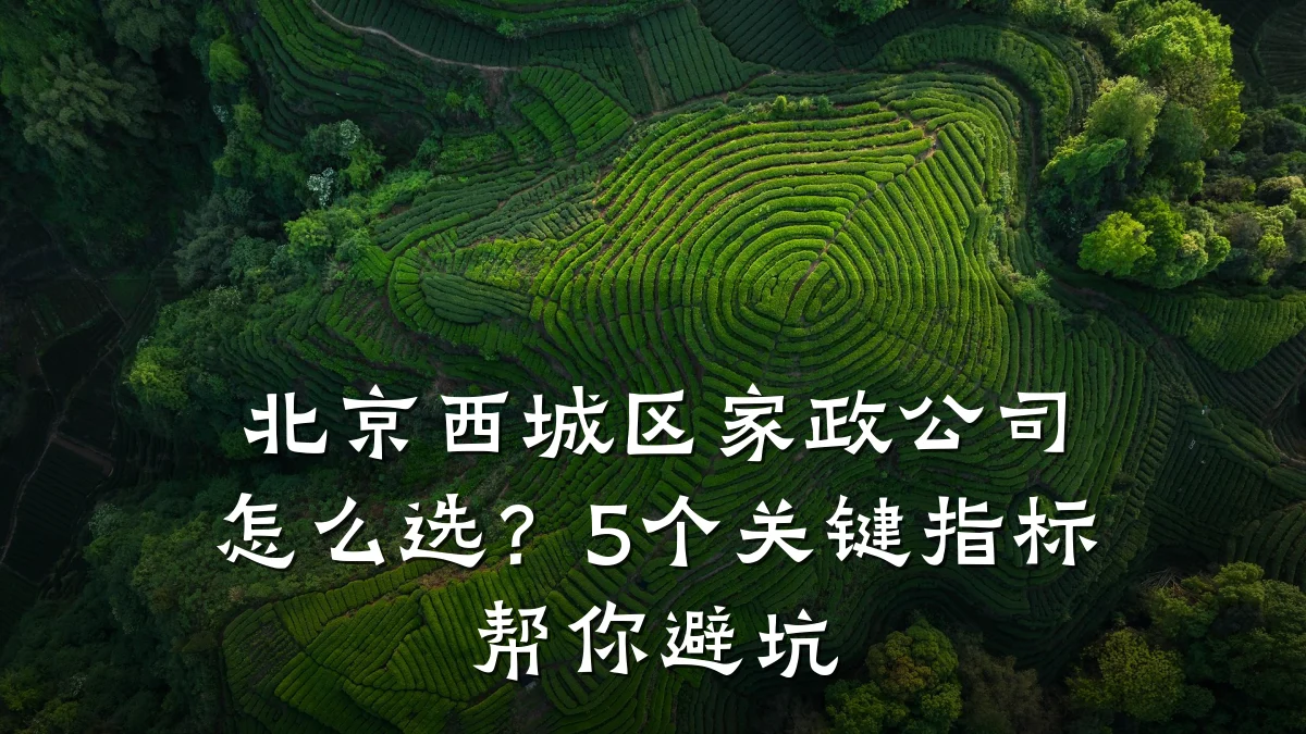 北京西城区家政公司怎么选？5个关键指标帮你避坑