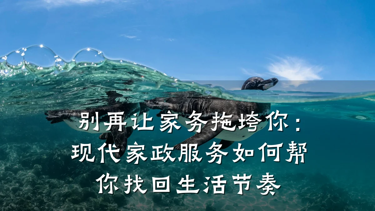 别再让家务拖垮你:现代家政服务如何帮你找回生活节奏
