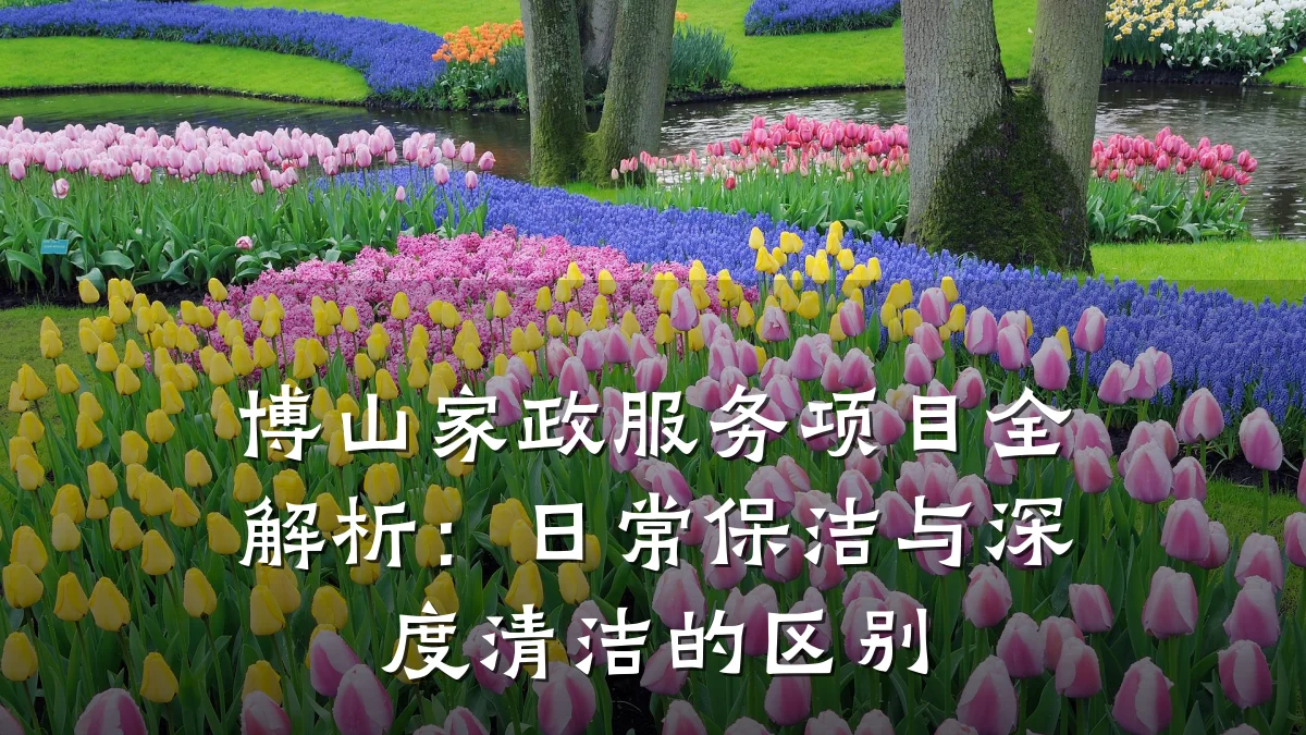 博山家政服务项目全解析:日常保洁与深度清洁的区别