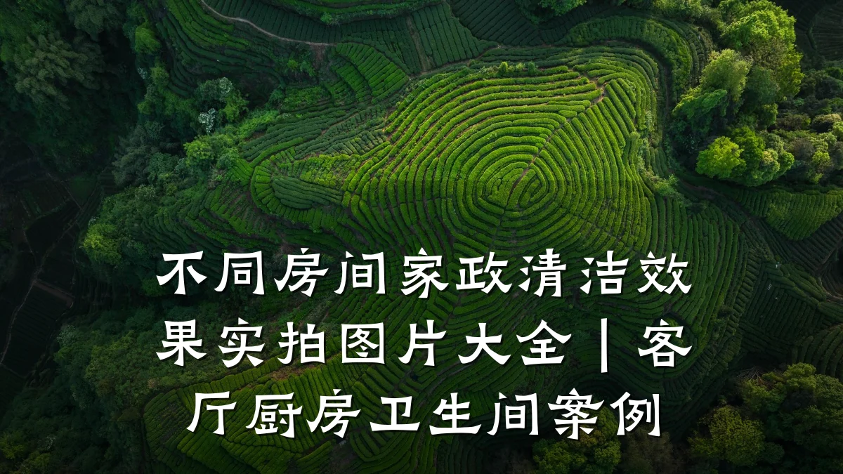 不同房间家政清洁效果实拍图片大全|客厅厨房卫生间案例