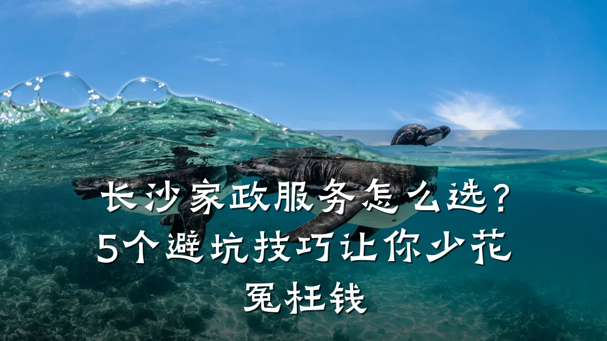 长沙家政服务怎么选?5个避坑技巧让你少花冤枉钱