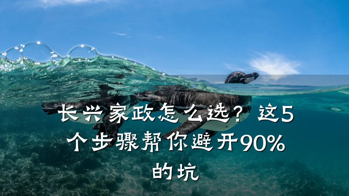 长兴家政怎么选?这5个步骤帮你避开90%的坑