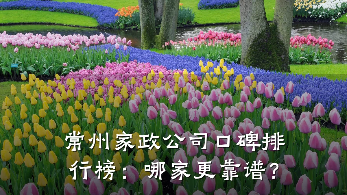 常州家政公司口碑排行榜:哪家更靠谱?