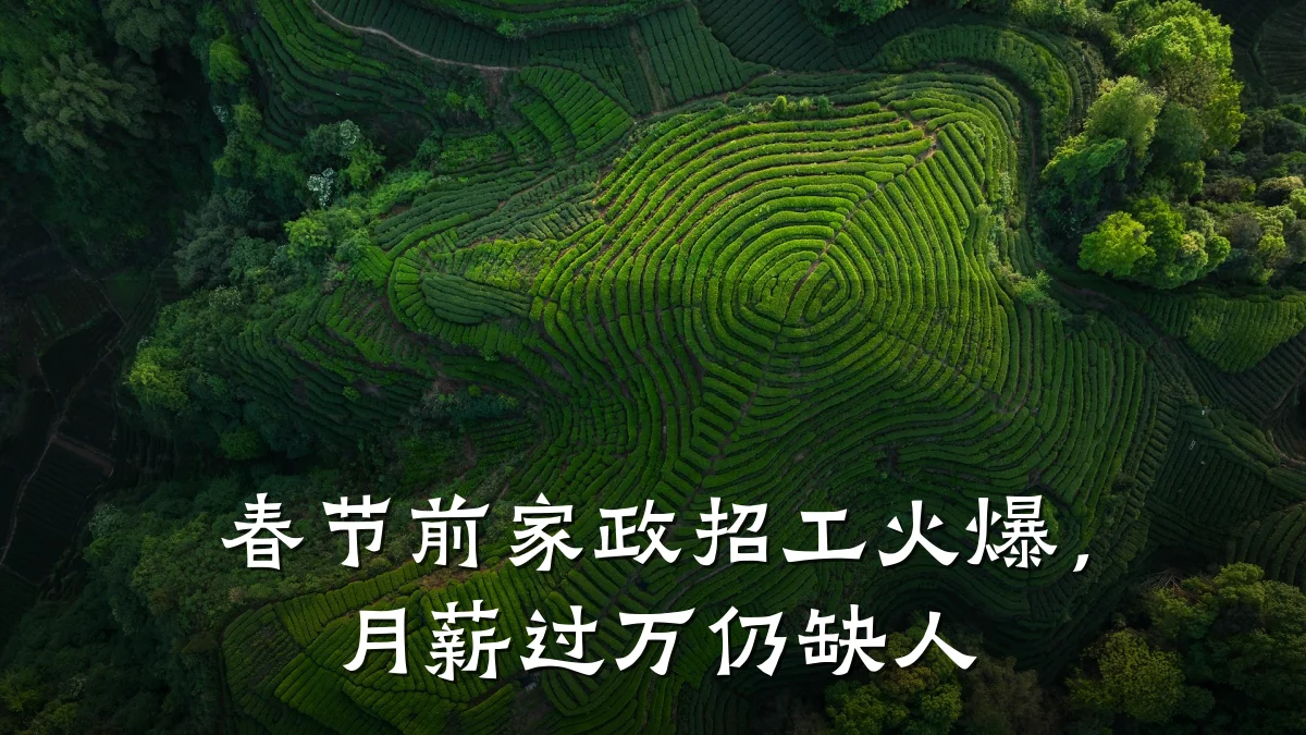 春节前家政招工火爆，月薪过万仍缺人