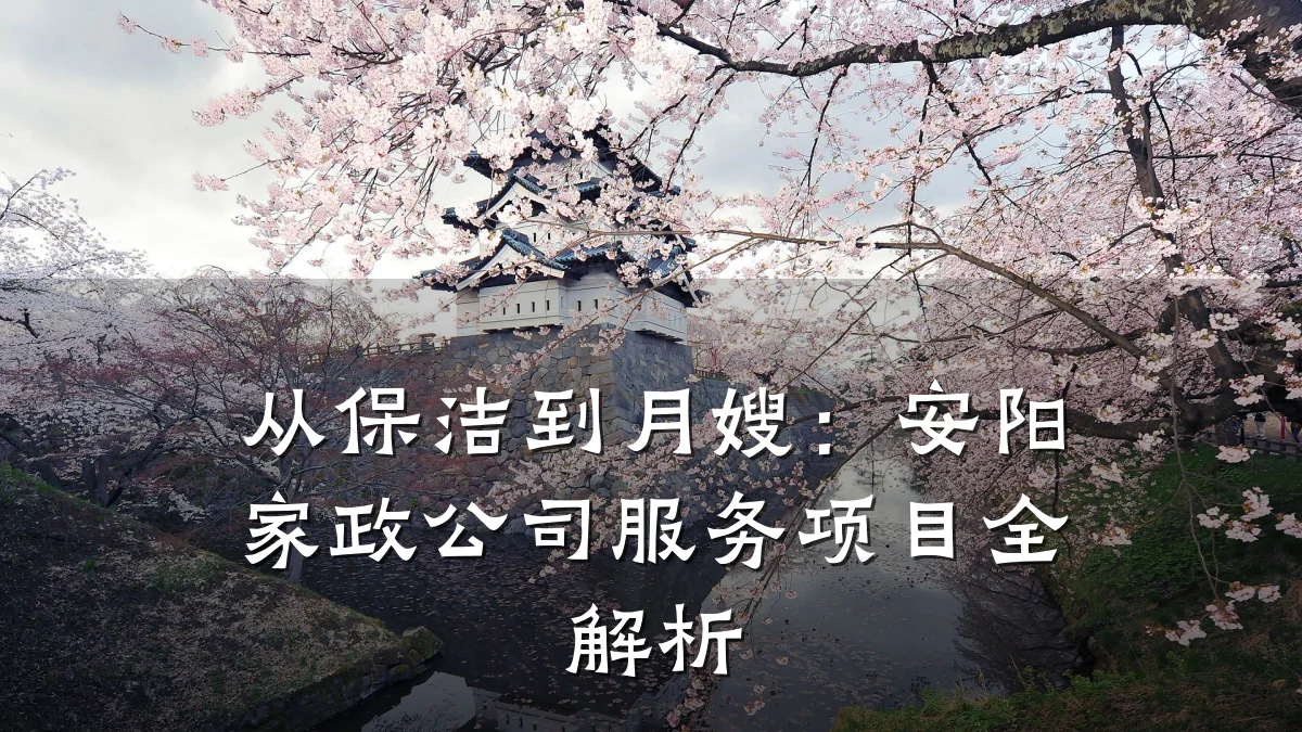 从保洁到月嫂:安阳家政公司服务项目全解析