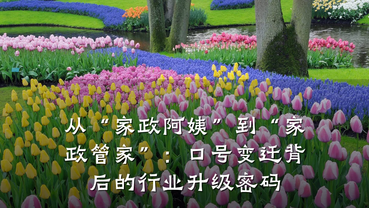 从“家政阿姨”到“家政管家”:口号变迁背后的行业升级密码