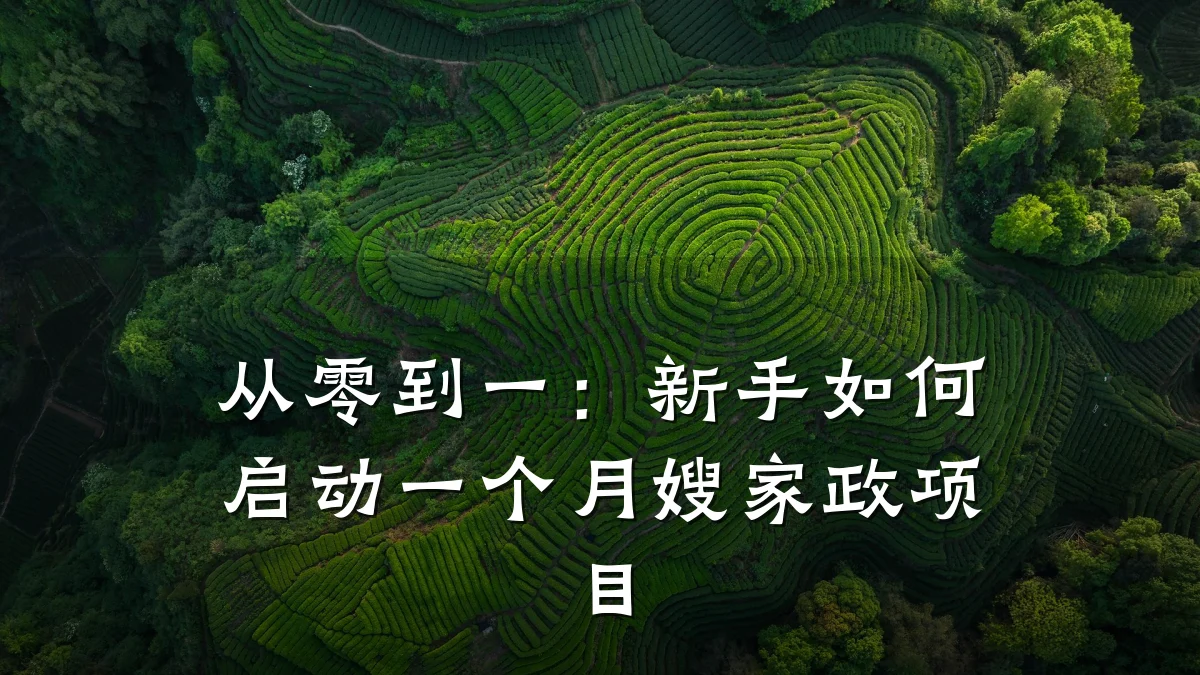 从零到一：新手如何启动一个月嫂家政项目