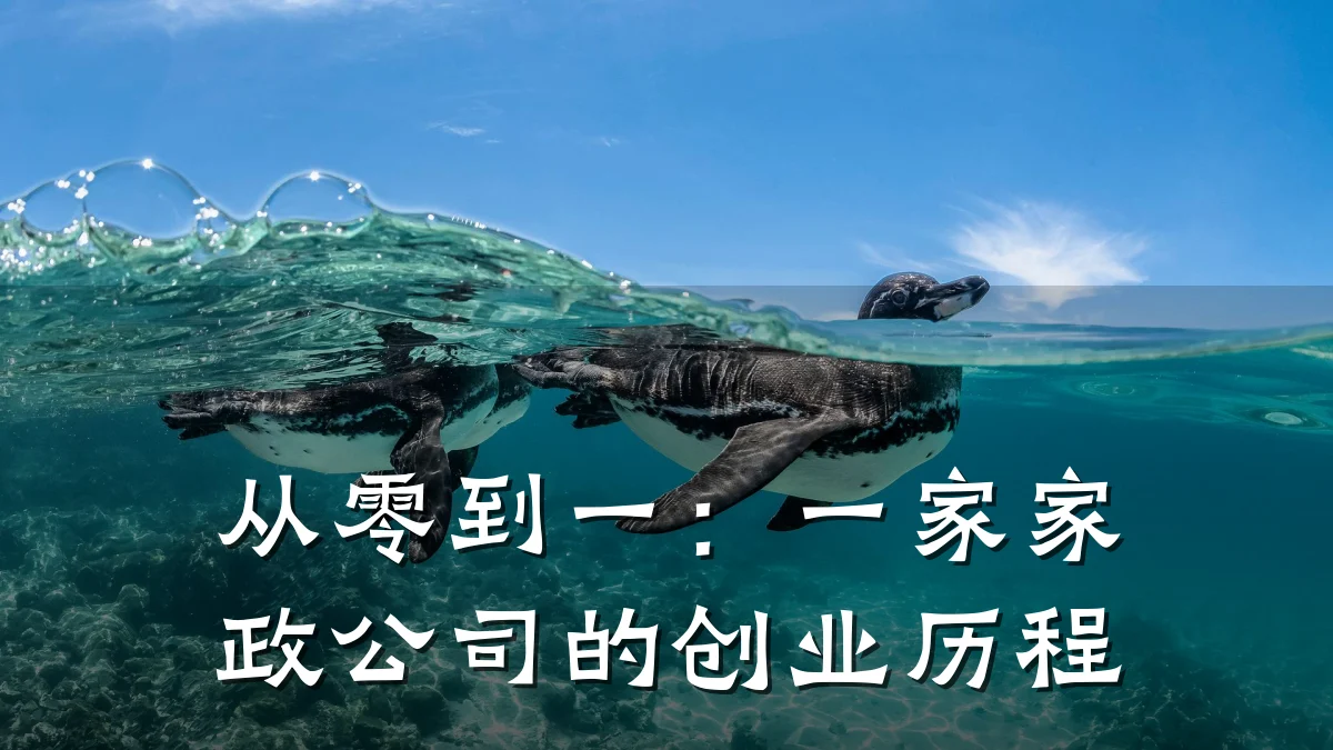 从零到一:一家家政公司的创业历程