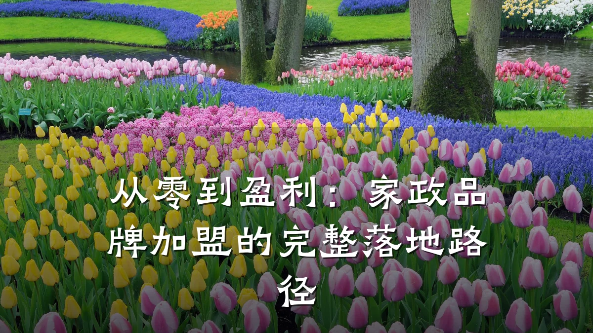 从零到盈利：家政品牌加盟的完整落地路径